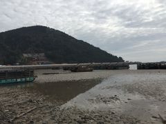 -北岐滩涂