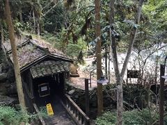 -宁海森林温泉