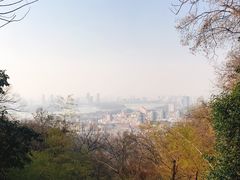 -紫金山天文台