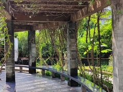 -广州神农草堂中医药博物馆