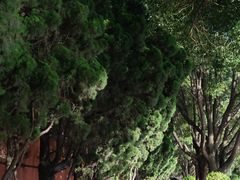 -建水文庙