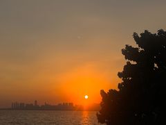 -深圳湾公园(南山区)