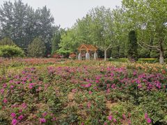 -抱犊寨风景区