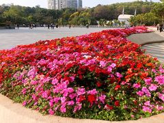 -深圳国际园林花卉博览园