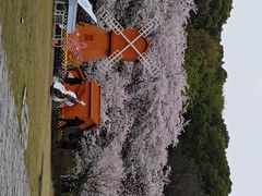 -苏州上方山国家森林公园