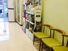 -悦宠凯宝动物医院·牙科·皮肤科(朝阳北路店)