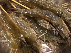 -吉友粥底火锅(方斜路店)