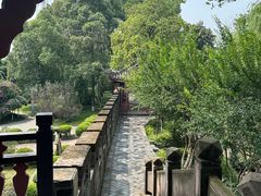 -桂湖森林公园