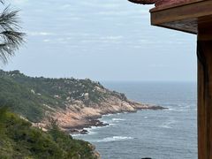 -广东惠东海龟国家级自然保护区