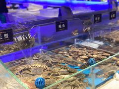 -加餐海鲜自助(宝龙一城店)