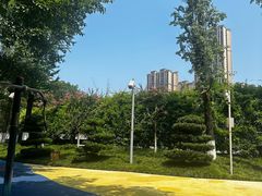 -龙头寺公园