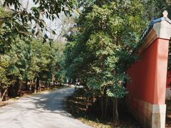 -灵谷景区