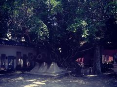-闽粤南澳总镇府