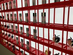 -苏宁极物(苏宁生活广场店)