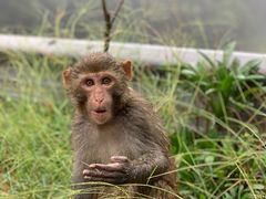 -重庆雨台山风景区
