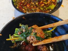 香菜牛肉-钢管厂五区小郡肝火锅串串香(总店)