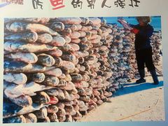 -老刘生态大鱼坊铁锅炖鱼(赛马场店)