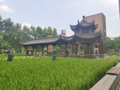 -证大喜玛拉雅中心