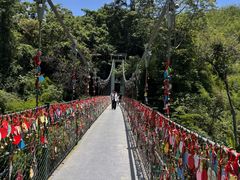 -西双版纳原始森林公园