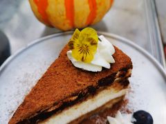 -三忘湖 SWANSEEN(柳荫公园店)