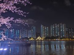 -江心屿景区