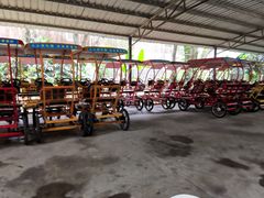 -华南国家植物园-售票处