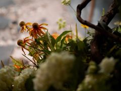 -第101座花园餐厅(湖滨88店)