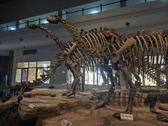 -自贡恐龙博物馆