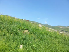 android_upload_pic-蔚县茶山村