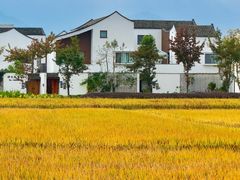 -东梓关景区村庄