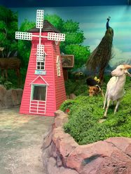 -酷嗒动物文化乐园(cutezoo西溪乐天城店)