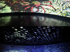 -同济大学四平路校区深海探索馆