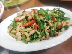 辣炒双菌-付掌柜在成都·热炒砂锅集(金禾店)