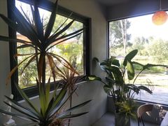 -Supine Bistro溯泮餐厅