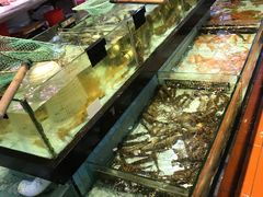 -越百海海鲜蒸锅(乐山店)