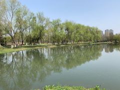 -洋湖国家湿地公园