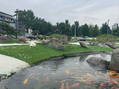 -罗红摄影艺术馆