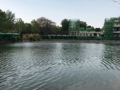 -朝阳公园游乐园