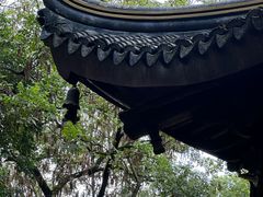 -西园寺