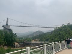 -青岛森林野生动物世界