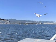 -海埂大坝