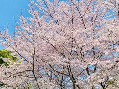 -石湖景区