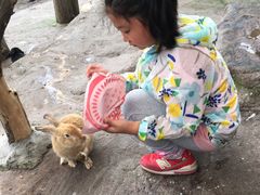 -西霞口神雕山野生动物世界