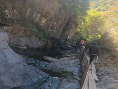 -云岫谷游猎自然风景区