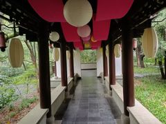 -杭州半山国家森林公园