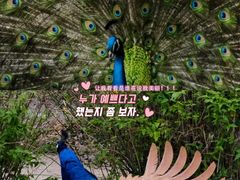 -南海子公园