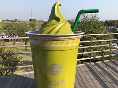 -雪绿茶博物馆