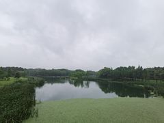 -贡湖湾湿地公园