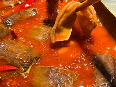 -阳阳老火锅(小南门店)