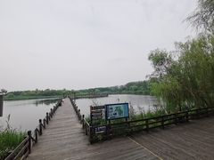 -溱湖国家湿地公园